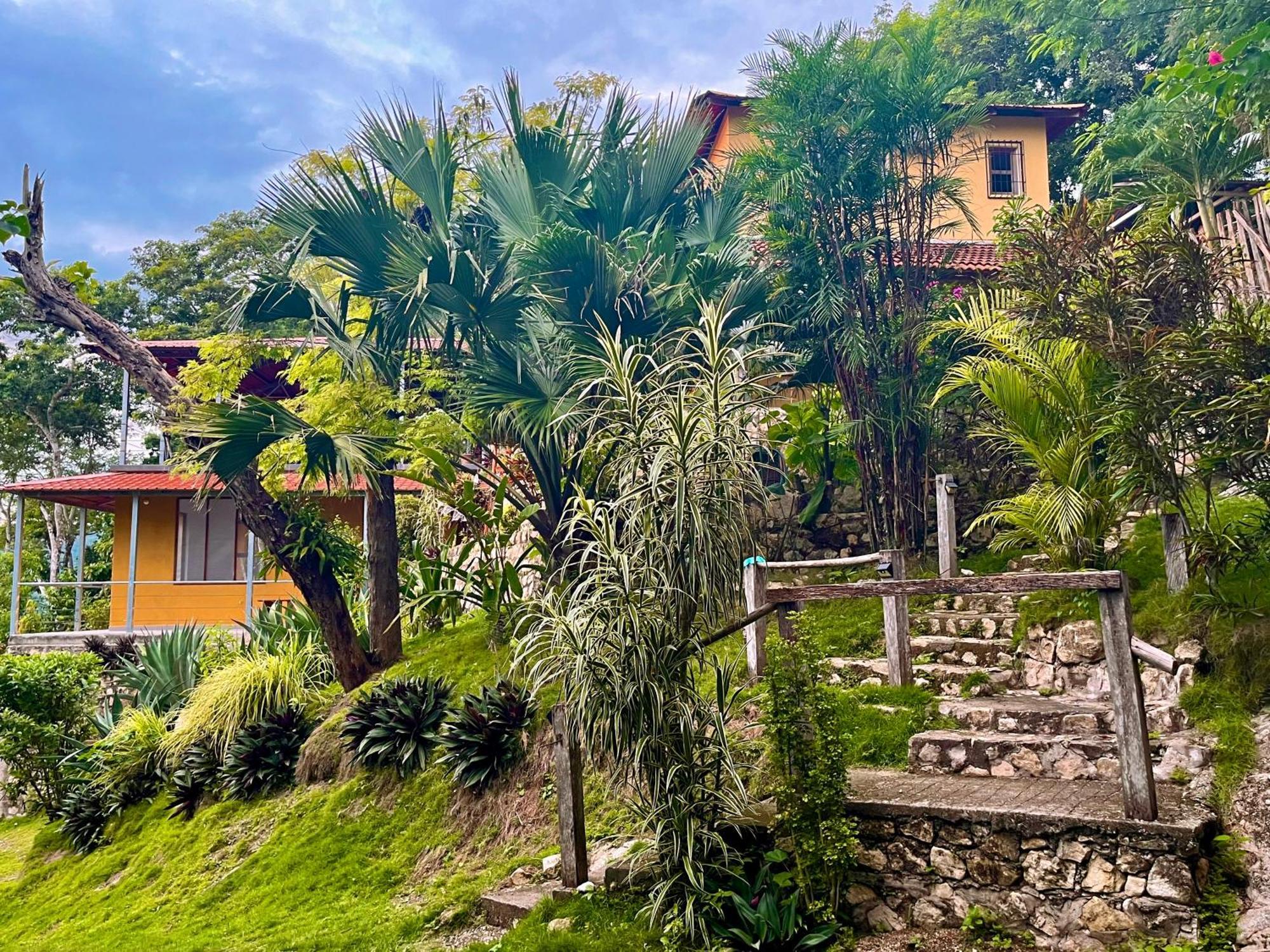 弗洛勒斯Casa Aleman公寓 外观 照片